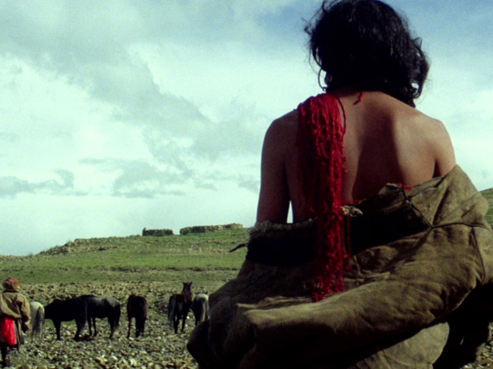 A person stands with their back to the camera, looking out to a green field of horses, and a vast open sky with a stretch of clouds