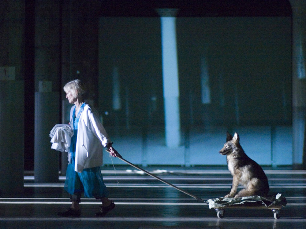 A white haired person in a white coat drags a dog on a sled by a rope